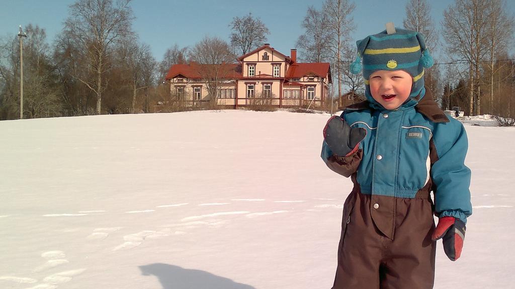 Отель Loeydoen Kartano Ристиина Экстерьер фото